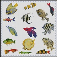 (image for) Aquarium Fish