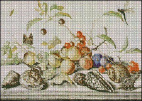 (image for) Shells, Fruit and Insects