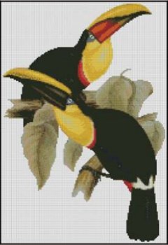 (image for) Toucans